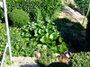 mini-Teich oben 06-2007